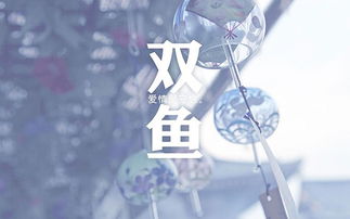 四较大优雅星座女