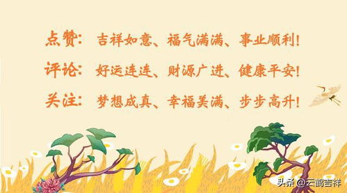 三、  其他解读：兔子的温柔
