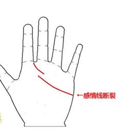 2026年黄历提示：烂桃花较高发期！