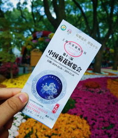 旅游门票那些事儿：大门票和普通门票到底有啥区别？