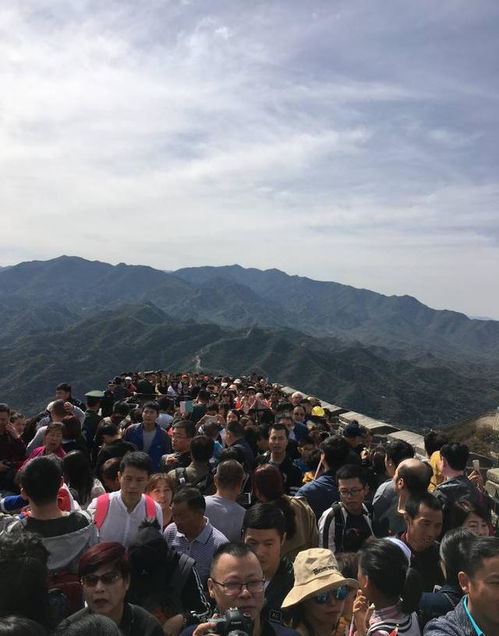 人山人海，挤到你怀疑人生