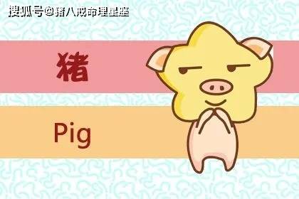 不差钱的生肖猴
