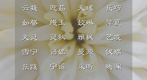 为哪些选“芸”字？
