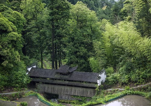 半山七里溪—龙泉路交汇点