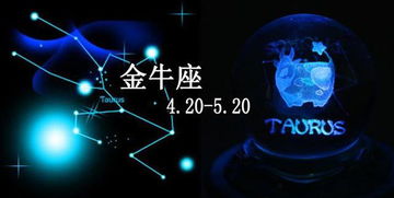 金牛座：稳扎稳打