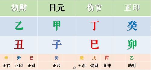 丁巳年的五行属性