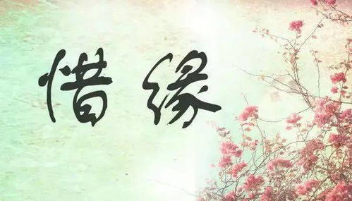 顺逆皆安，金牛事业路，惜缘守心，你Neng否把握住机遇？