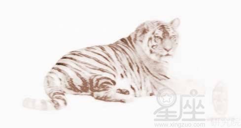 老虎的冲突：猴子和蛇