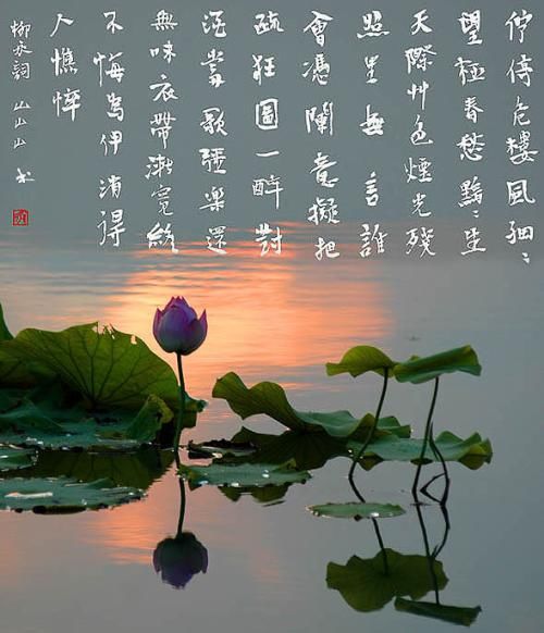 生肖的诗意