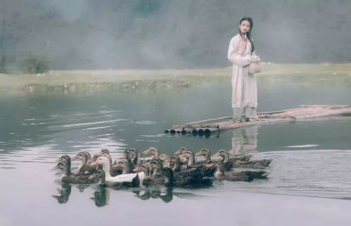 先聊聊，咱们为啥会在梦里撞上巨大的恐龙？