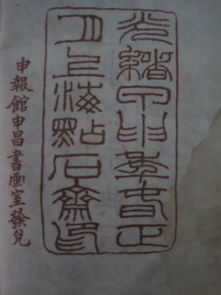 摽的起源：从绑到连