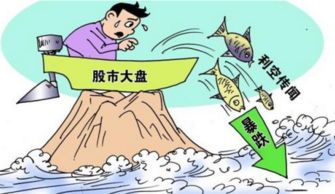 别把“支持”定义成单一角色