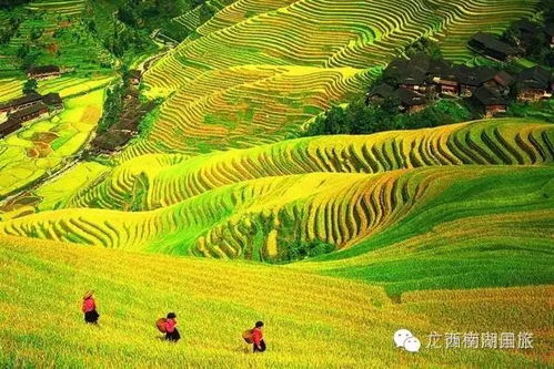 3. 龙脊梯田：云雾中的摩登农家乐