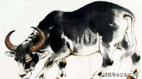 婚姻关系择日是个技术手段活