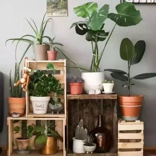 绿植加持——让生机渗透每根柱子