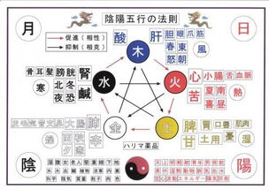 情感与人际关系