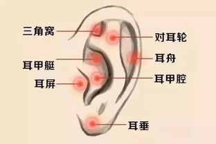 其他细节：藏着玄机