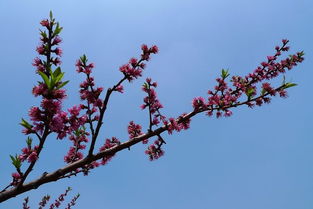 风水与黄历
