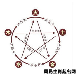 2. 生肖特点的十分沉关键性