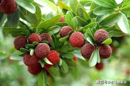 不同梦境的不同寓意