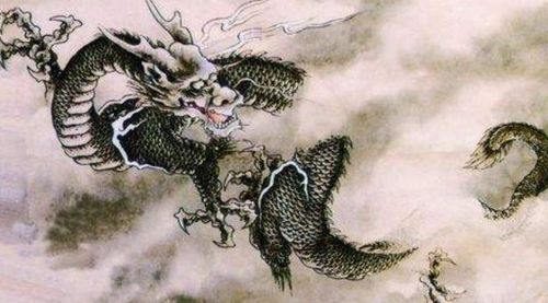 属龙的朋友怎么想？