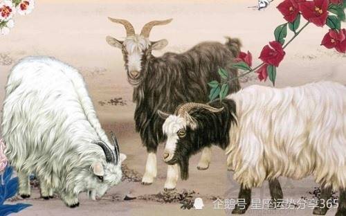 2026年的天气与黄历较小贴士