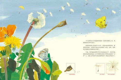 风水与家庭