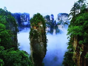 三、住宿：从农家乐到五星级，坑你没商量