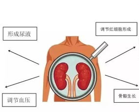 - 事业方面 -