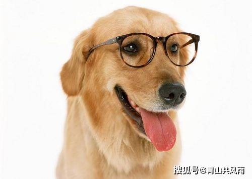 其他行业的吉日