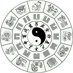 五行命理：