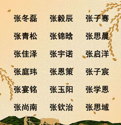 五行示例：