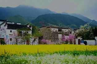 7. 住宿含门票，一举两得