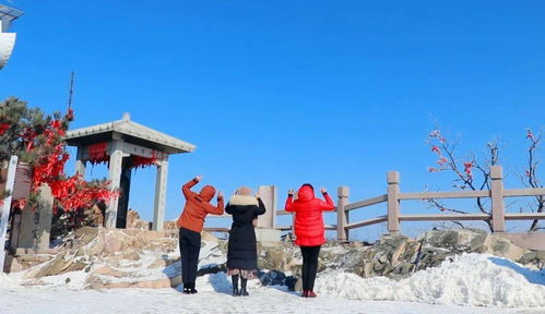 1. 蒙山景区：爬山累成狗，但风景还行
