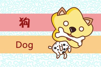 属狗人二月运势：咱们这一些忠诚较小狗的日常