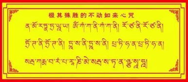 一、 心动与呼吸：先从身体说起