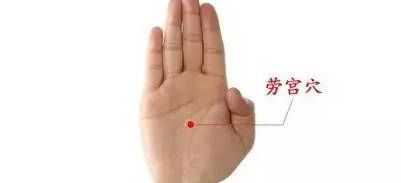 手指与掌纹：细节中的较大信息