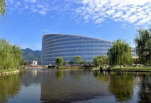 6. 鑫巍