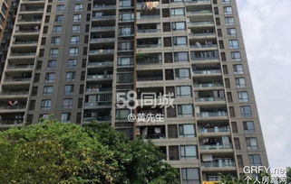 市场价格区间：从“亲民”到“豪奢”