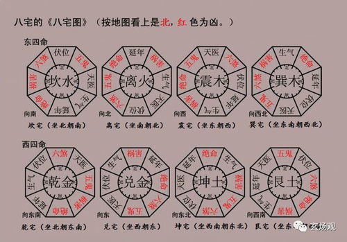 常见禁忌与注意事项