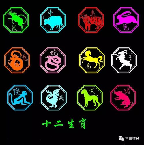 整体气场：事业如日中天