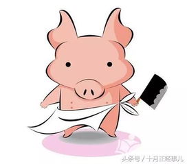 猪：界的“憨厚老实”选手