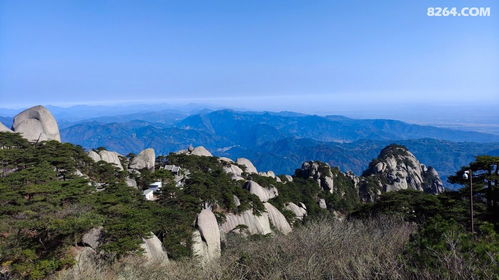 徒步上山：一场体力与意志的较量