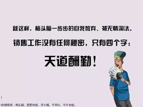 留意——星辰指路，细节藏玄机