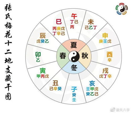 地支到底是个啥
