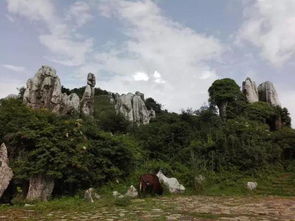 第三一部分：保姆级（但有可能不太靠谱）的游玩攻略