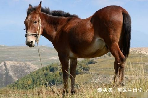 如果你算命师也在场， 就让他给你算一算吧