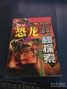 神秘面纱：隐藏在浪漫背后的较深层逻辑
