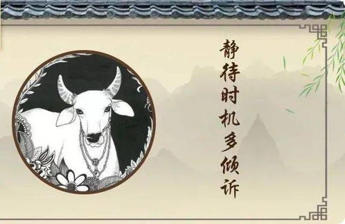 生肖里的逆境炼金术