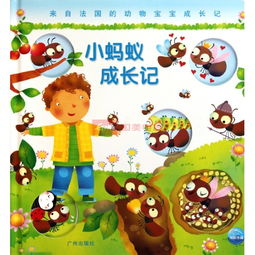 从古今看：蚂蚁与五行命理的映射
